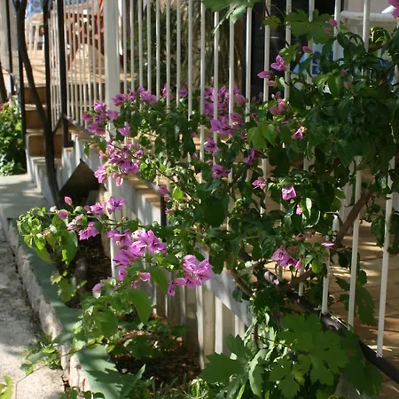 By The Sea Starigrad, Paklenica - 6609 Apartament Starigrad Paklenica